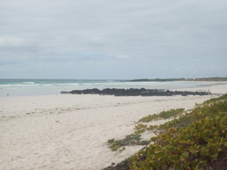 Tortuga Bay, una de las playas de Galápagos (clickear para agrandar imagen)